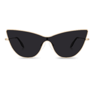 Sleek Style Glasses